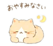 854575312