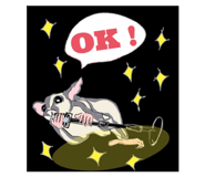 854575473