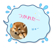 854575572