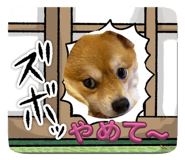 854575573
