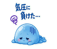 854576216