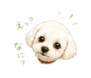 854579460