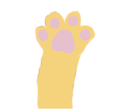 854579597