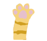854579604