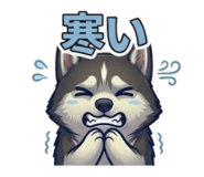 854580416