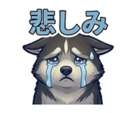 854580417