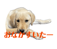 854582632