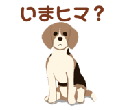 854582735
