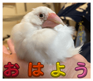 854582738