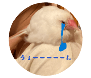 854582740