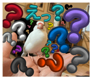 854582742