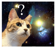 854582849