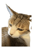 854582855