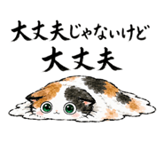 854582977