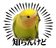 854583001