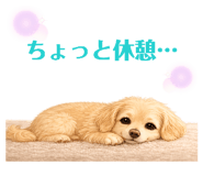 854583675