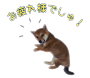 854583818