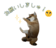 854583820