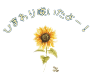 854583827