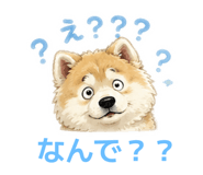 854584171