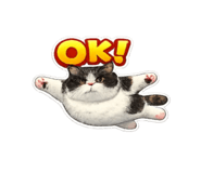 854584603