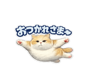854584606
