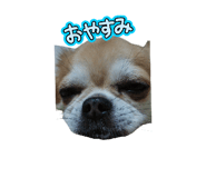 854586519
