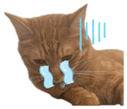 854586712