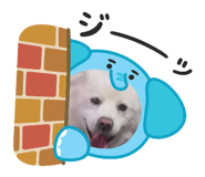 854590766
