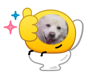 854590770