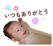 854590913