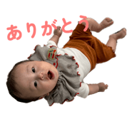 854590914