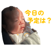 854590925