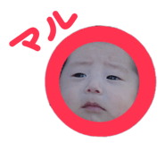854590931