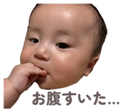 854590945