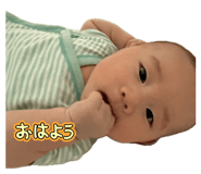 854591506