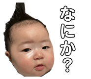 854593016
