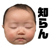 854593025