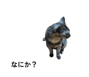 854593666