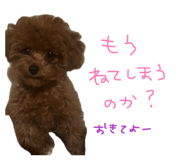 854594232
