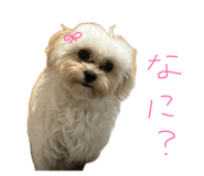 854594236