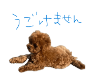 854594240