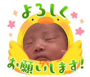 854594407