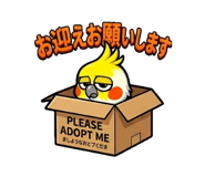854594479