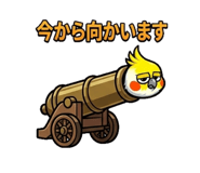 854594494