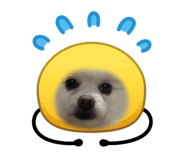 854594909