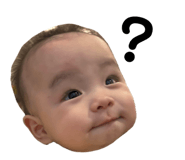 854595065