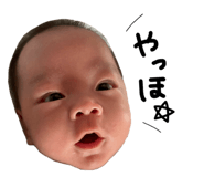 854595069