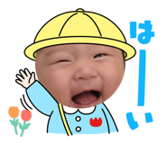 854595205