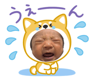 854595208
